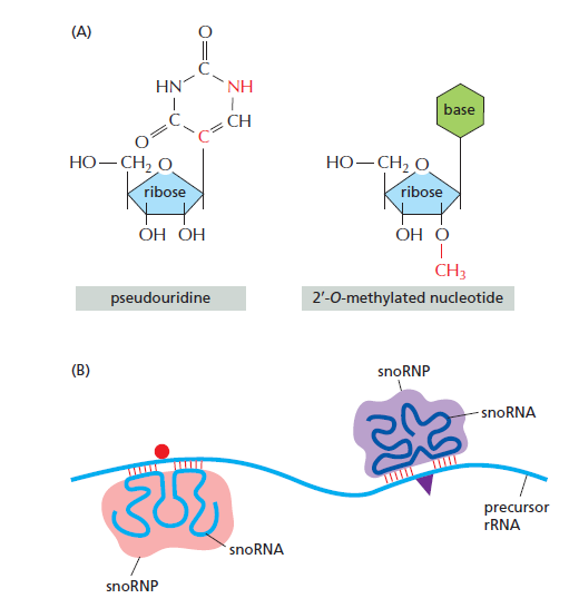 Figure 6-41.png